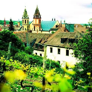 Youth Wurzburgo